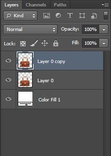Step 3 : Copy Layer
