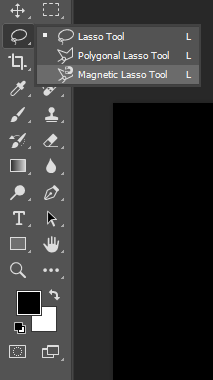 Select the Magnetic Lasso Tool