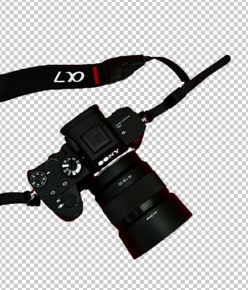 Isolated subject on new Photoshop layer using Ctrl+J with refined edges using Background Eraser tool.