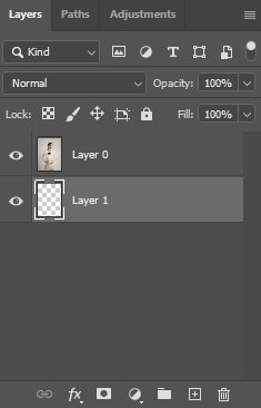 select the new Layer
