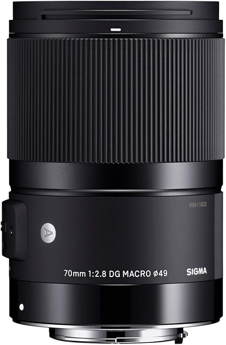Sigma 70mm f2.8 DG Macro Art