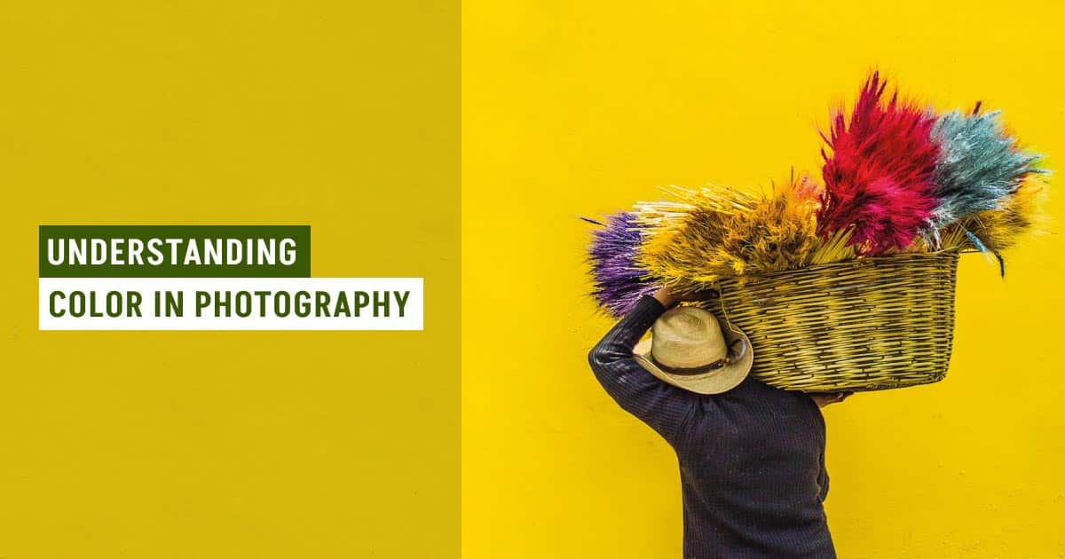 Understanding Color in Photography – A Complete Guide