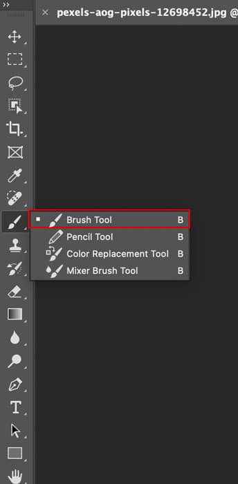 Select-the-Brush-Tool