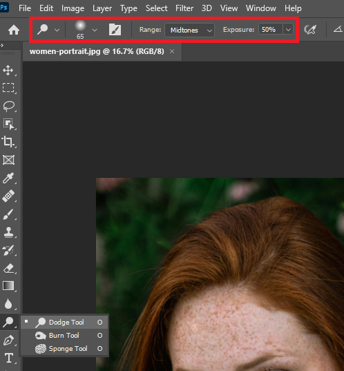 An image being edited in Photoshop, showcasing brush settings and range type options in the top options bar.