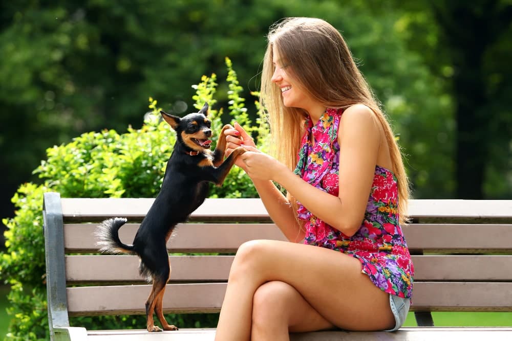 Include a pet in lifestyle photo