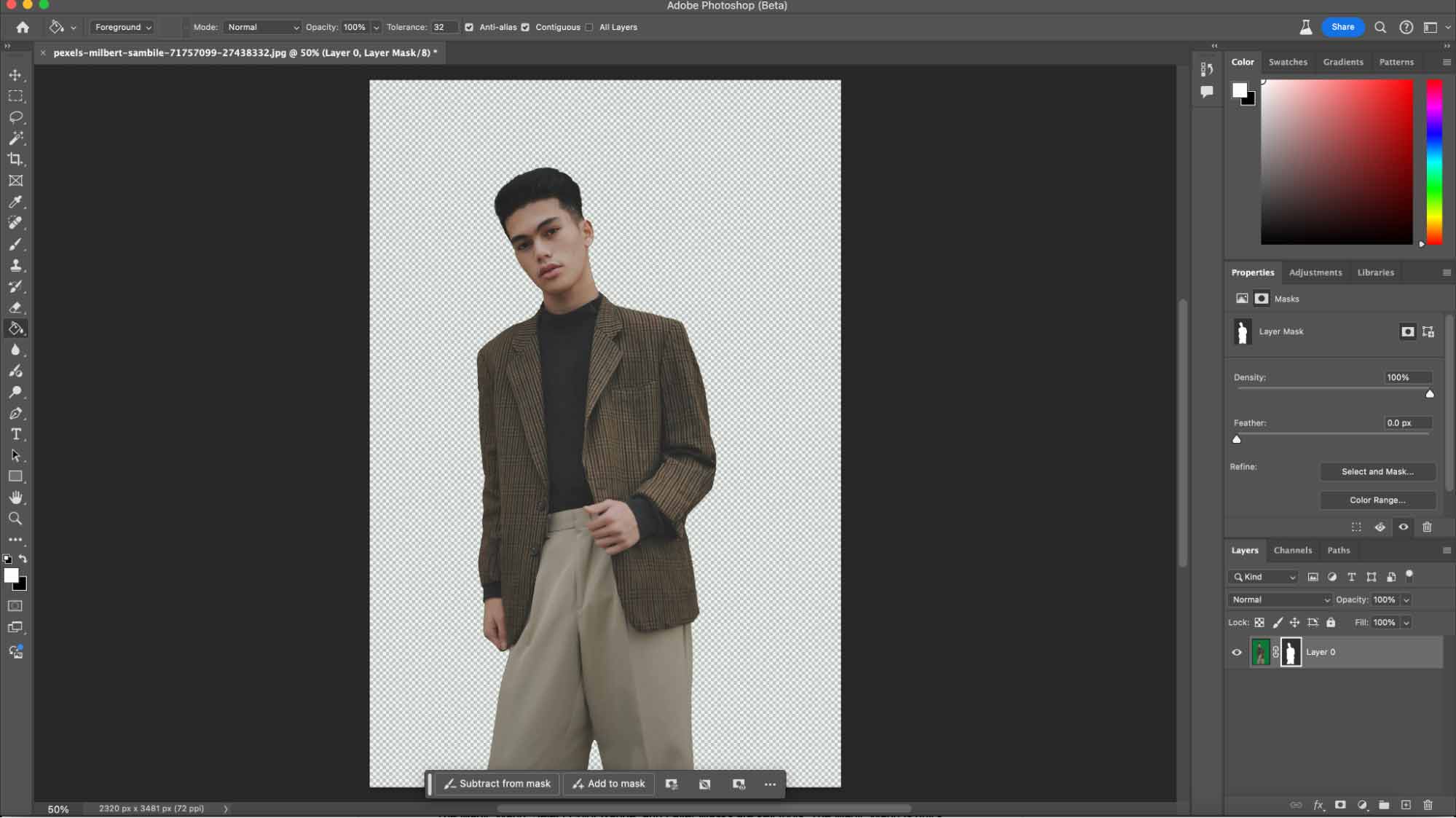 Removing the background with layer masks step two