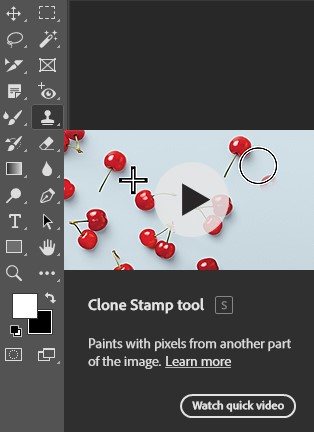Image of the Clone Stamp Tool icon, featuring a paintbrush and a stamp, used for duplicating parts of an image.