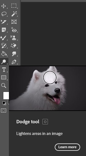 Adobe Photoshop interface displaying the dodge Tool.