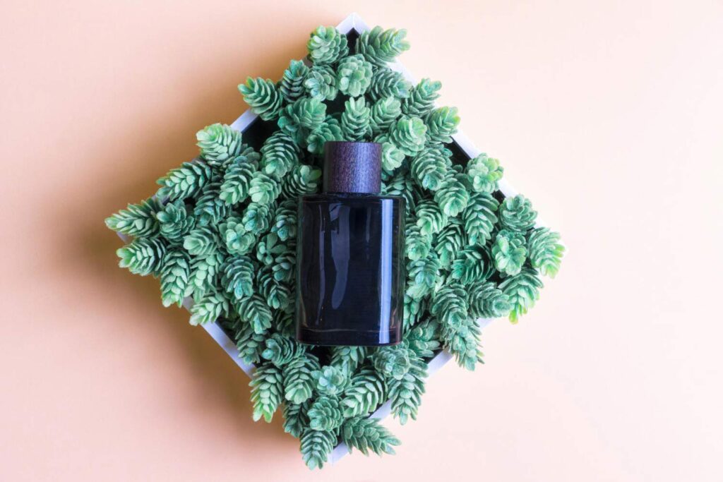 A bottle of perfume elegantly positioned atop a lush green plant, captured in top down product photography.
