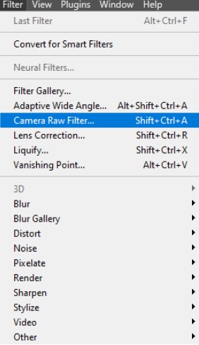 Camera RAW Filter