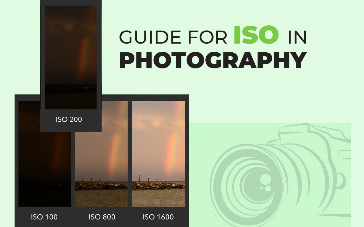 ISO in photography - guide