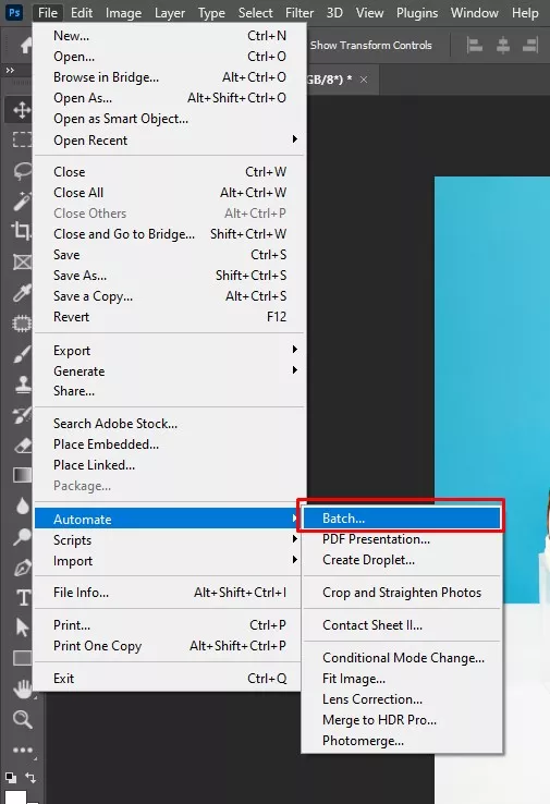 Run the batch process